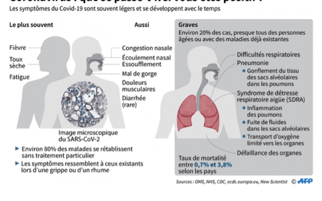 Description: https://factuel.afp.com/sites/default/files/styles/list_xl/public/medias/factchecking/cote_divoire/infographie_corona_test.jpg?itok=jRyYNAZG